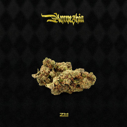 Amnezhia - 5g Premium Indoor CBD Cannabis Flower - ZH - TheHighCulture